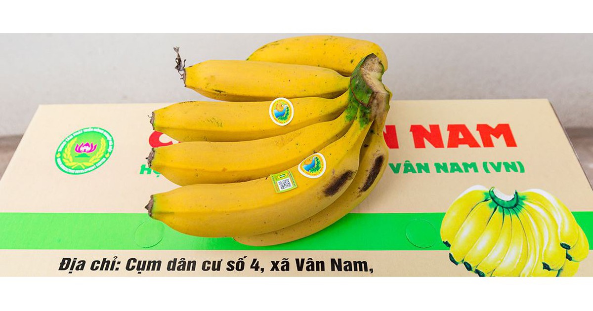 Chú trọng xây dựng sản phẩm nông sản đạt tiêu chuẩn OCOP