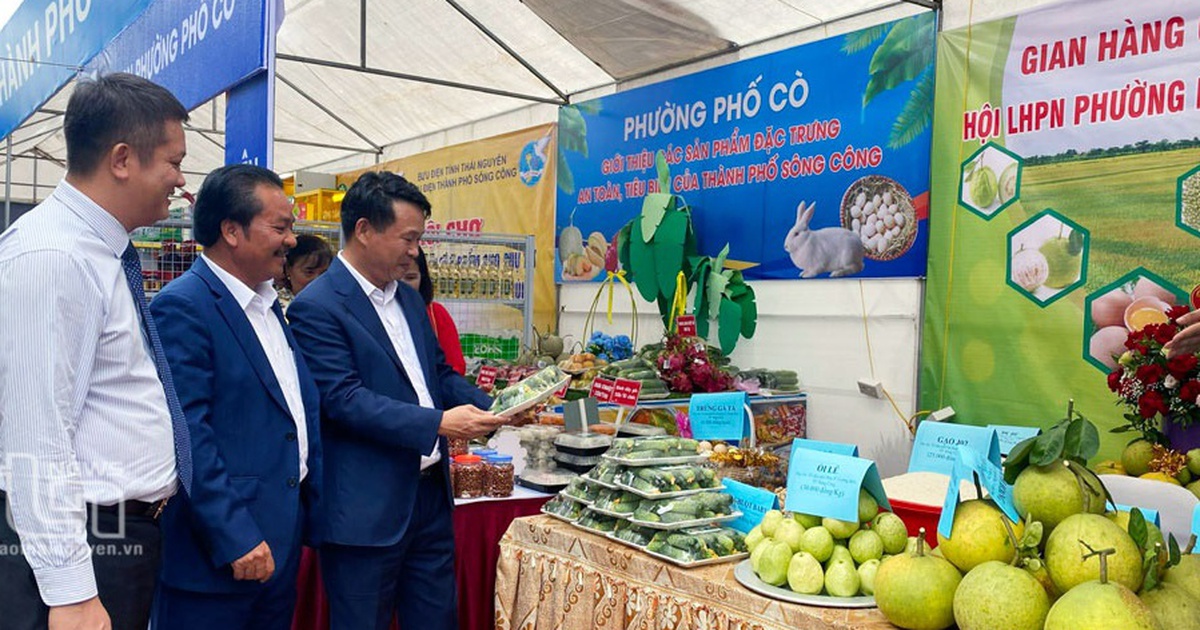 Tổ chức Festival nông sản, OCOP, làng nghề gắn kết du lịch-Thái Nguyên 2023
