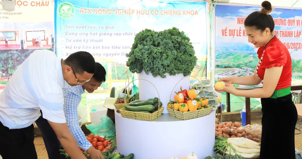Vân Hồ nâng tầm sản phẩm đặc sản địa phương và trải nghiệm du lịch nông nghiệp