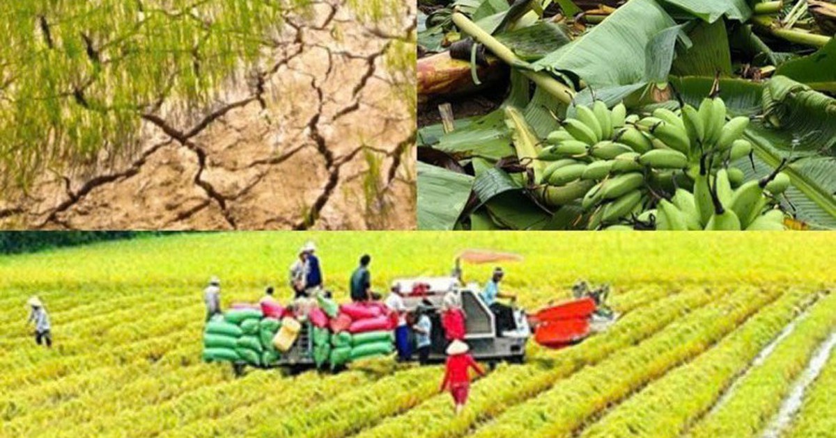 Chính sách mới có hiệu lực từ tháng 10/2026