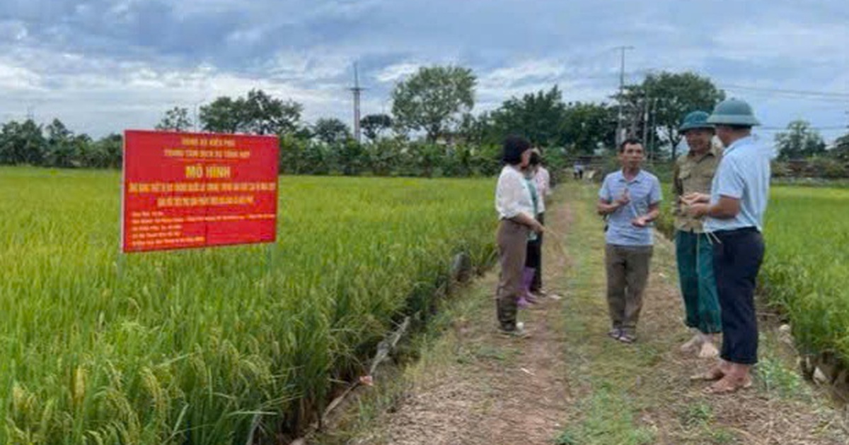 Thúc đẩy xây dựng nông thôn mới gắn với ứng dụng kỹ thuật công nghệ