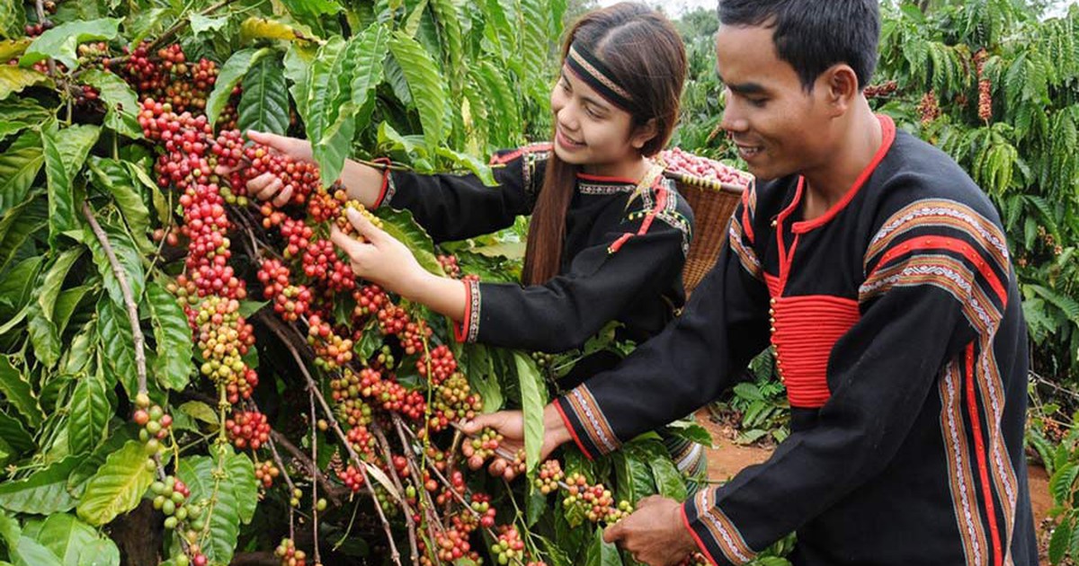 Nông nghiệp Đắk Lắk vượt kịch bản tăng trưởng hai quý liên tiếp