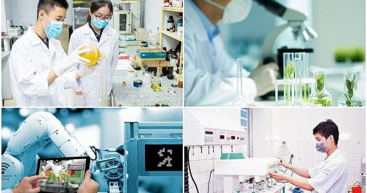 Xử lý khó khăn trong lập, phân bổ, giao dự toán cho hoạt động khoa học, công nghệ và đổi mới sáng tạo