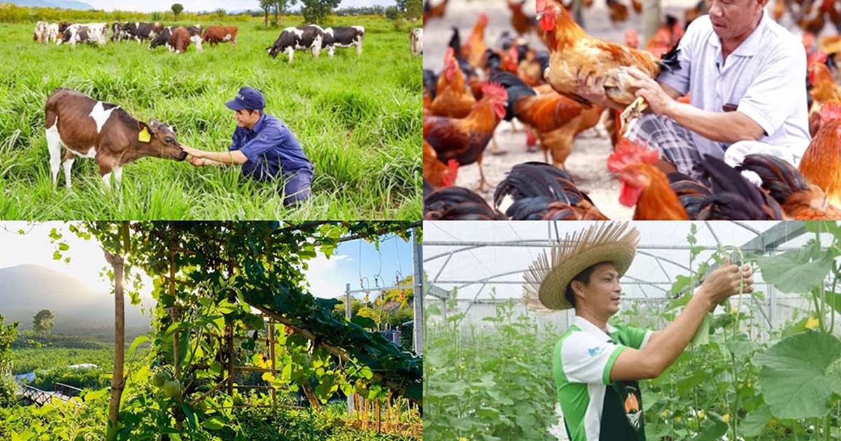 Chính sách mới có hiệu lực từ tháng 8/2025