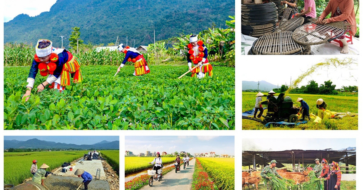 Photo: baochinhphu.vn Défis administratifs et lenteurs dans le déploiement des fonds