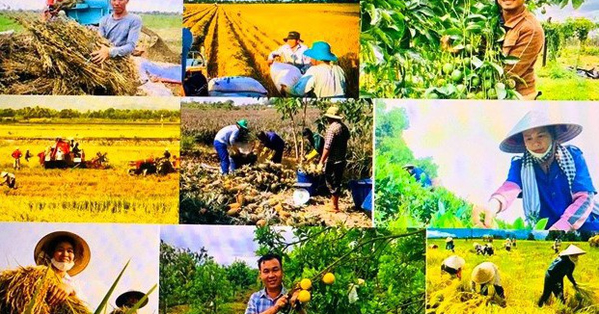 Đề xuất chính sách phát triển kinh tế nông thôn, đa dạng hóa sinh kế, việc làm