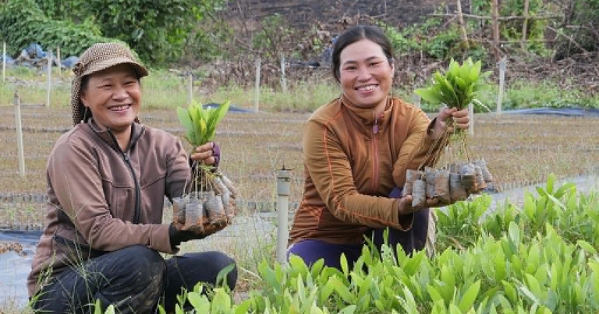 Khoa học công nghệ thúc đẩy xuất khẩu nông sản