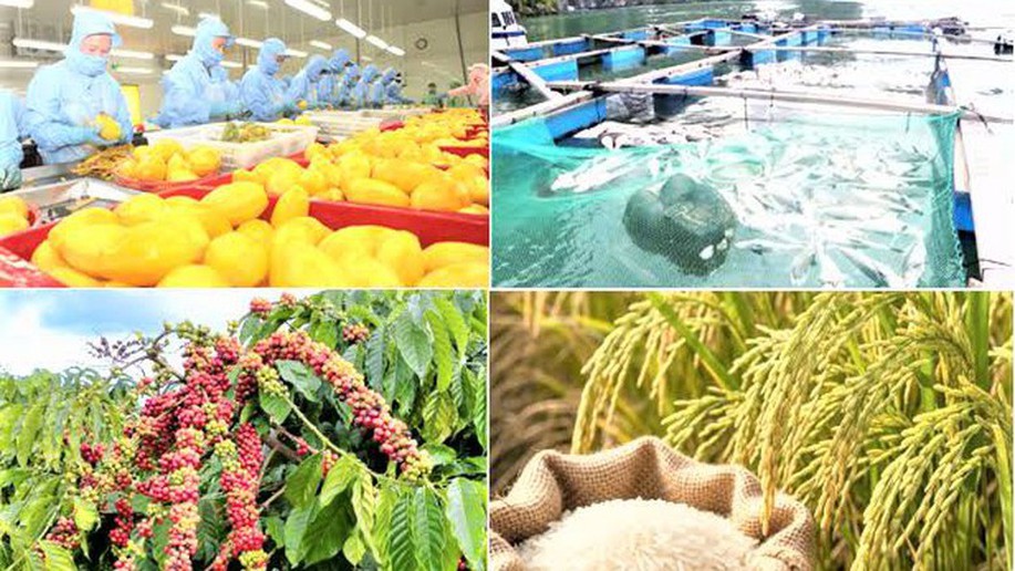 Tháo gỡ khó khăn, vướng mắc thúc đẩy xuất khẩu nông lâm thủy sản